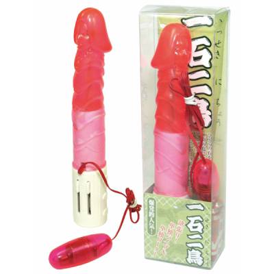 ��Γ񒹁i�o�C�u�j