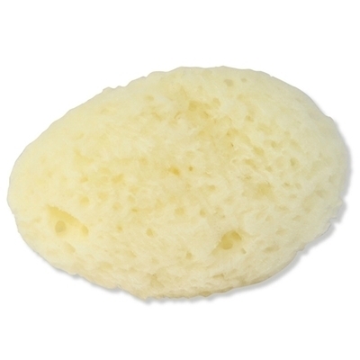 �V�R�C�ȁ@��T�����@�i�P�i�j�i�Ɩ��p�i�j