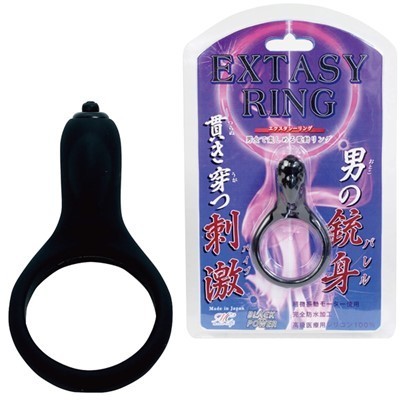 �G�N�X�^�V�[�����O�i�j���⏕�O�b�Y�j