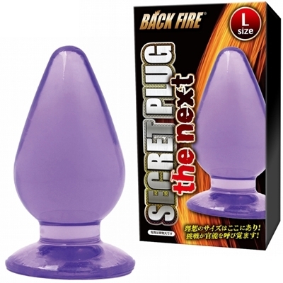 �V�[�N���b�g�v���O�@�U�@�l�N�X�g�@�i�k�j�i�A�i���g���O�b�Y�j