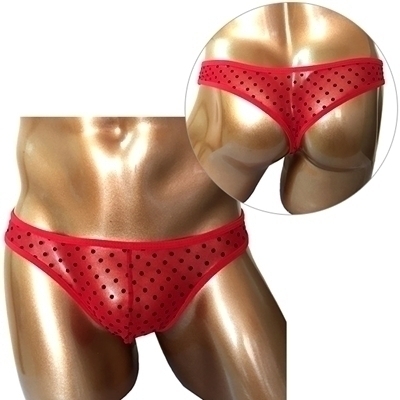 �a�����c���������@���C���h�r�L�j�p���c�i�v�|�O�P�V�j�@���ʃ��b�h�i�����W�F���[�j