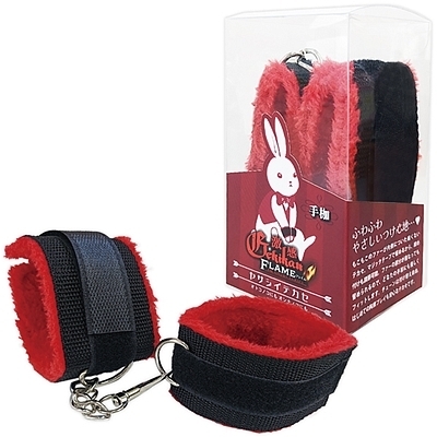 �����t���C���@�i���T�V�C�e�J�Z�@��g�j�iSM�E�S����j