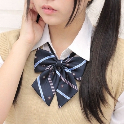 �X�N�[�����{���P�i�@��́i�R�X�`���[���j