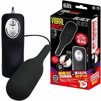 �r�u�����@�r�b�O�@�i�u���b�N�j�i���[�^�[�j