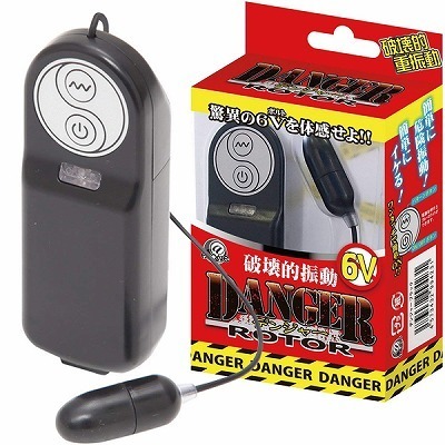 �f���W���[���[�^�[�@�i�u���b�N�j�i���[�^�[�j