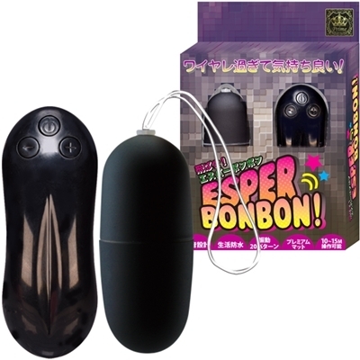 �V�G�X�p�[�{���{���@�i�u���b�N�j�i�����R���j