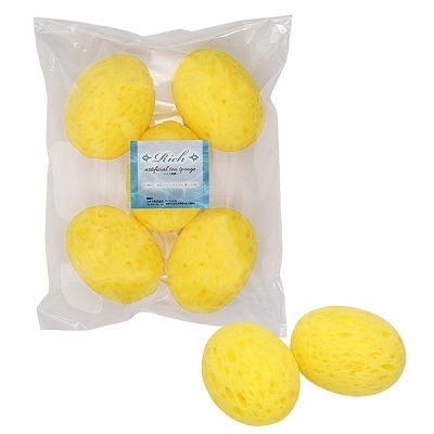 ���b�`�@�l�H�C�ȁ@�T����i�Ɩ��p�i�j