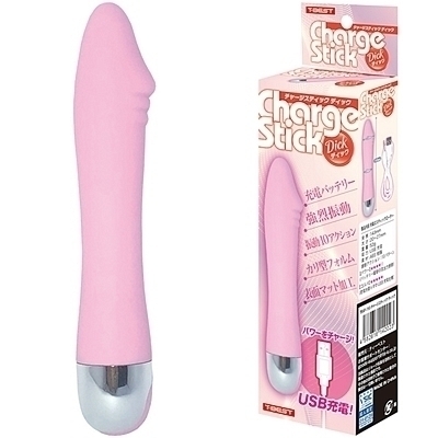 �`���[�W�X�e�B�b�N�@�i�f�B�b�N�j�i�o�C�u�j