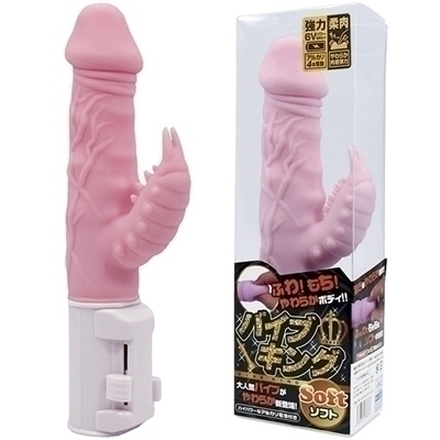 �o�C�u�L���O�\�t�g�@�i�s���N�j�i�o�C�u�j