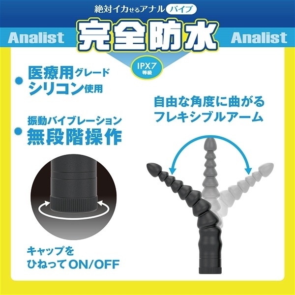 ��΃C�J����A�i���o�C�u�@���S�h���@�A�i���X�g�@�i�O�O�S�j