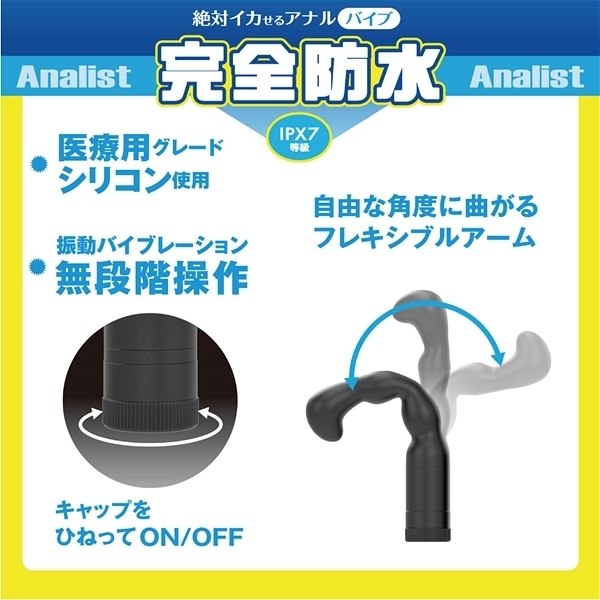 ��΃C�J����A�i���o�C�u�@���S�h���@�A�i���X�g�@�i�O�O�U�j