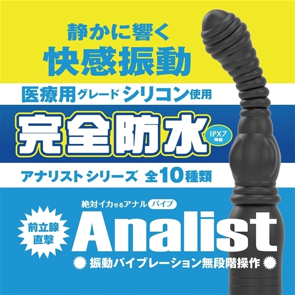 ��΃C�J����A�i���o�C�u�@���S�h���@�A�i���X�g�@�i�O�O�V�j