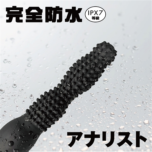 ��΃C�J����A�i���o�C�u�@���S�h���@�A�i���X�g�@�i�O�O�W�j