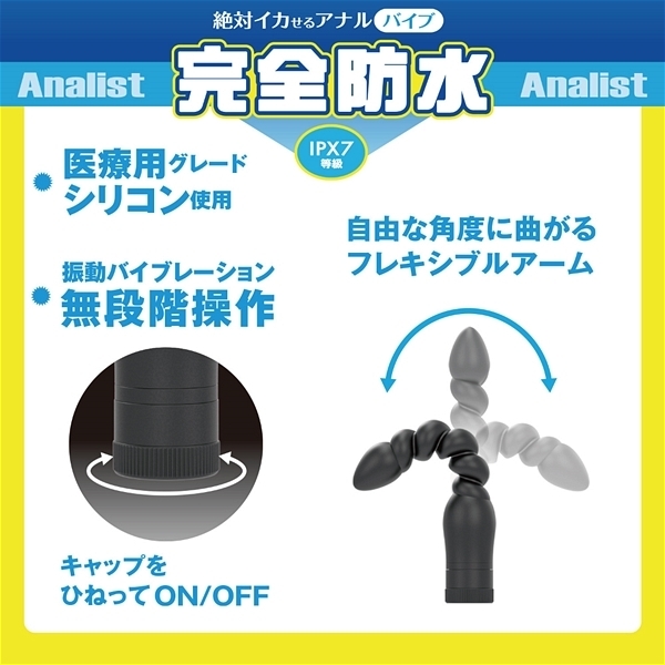 ��΃C�J����A�i���o�C�u�@���S�h���@�A�i���X�g�@�i�O�P�O�j