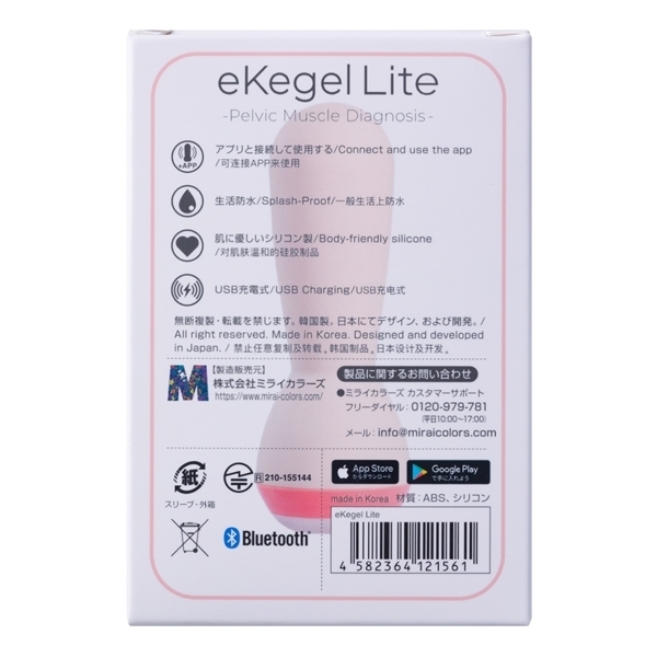 �t�F�~���C�g�@�����������@�k�������i�C�[�P�[�Q�����C�g�j