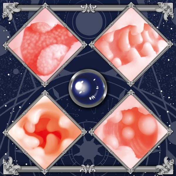 �萯�p�t�̃I�i�z�A�g���G