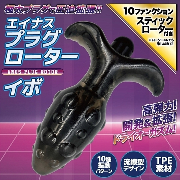 �G�C�i�X�v���O���[�^�[�@�i�C�{�j