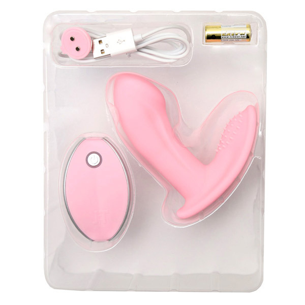 ���������@�f�i�l���@�W�[�j�@�s���N