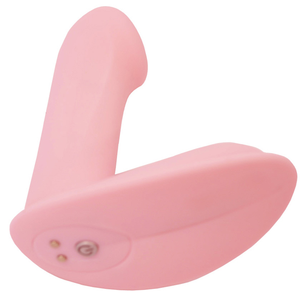 ���������@�f�@�k�����������@�o�����������@�i�s���N�j