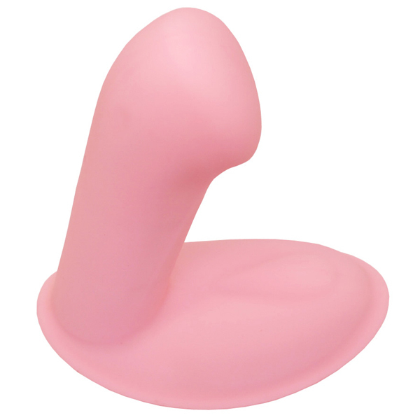 ���������@�f�@�k�����������@�o�����������@�i�s���N�j